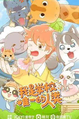 《我是学校唯一的人类》：反转再反转！这届“人类”太会玩了！